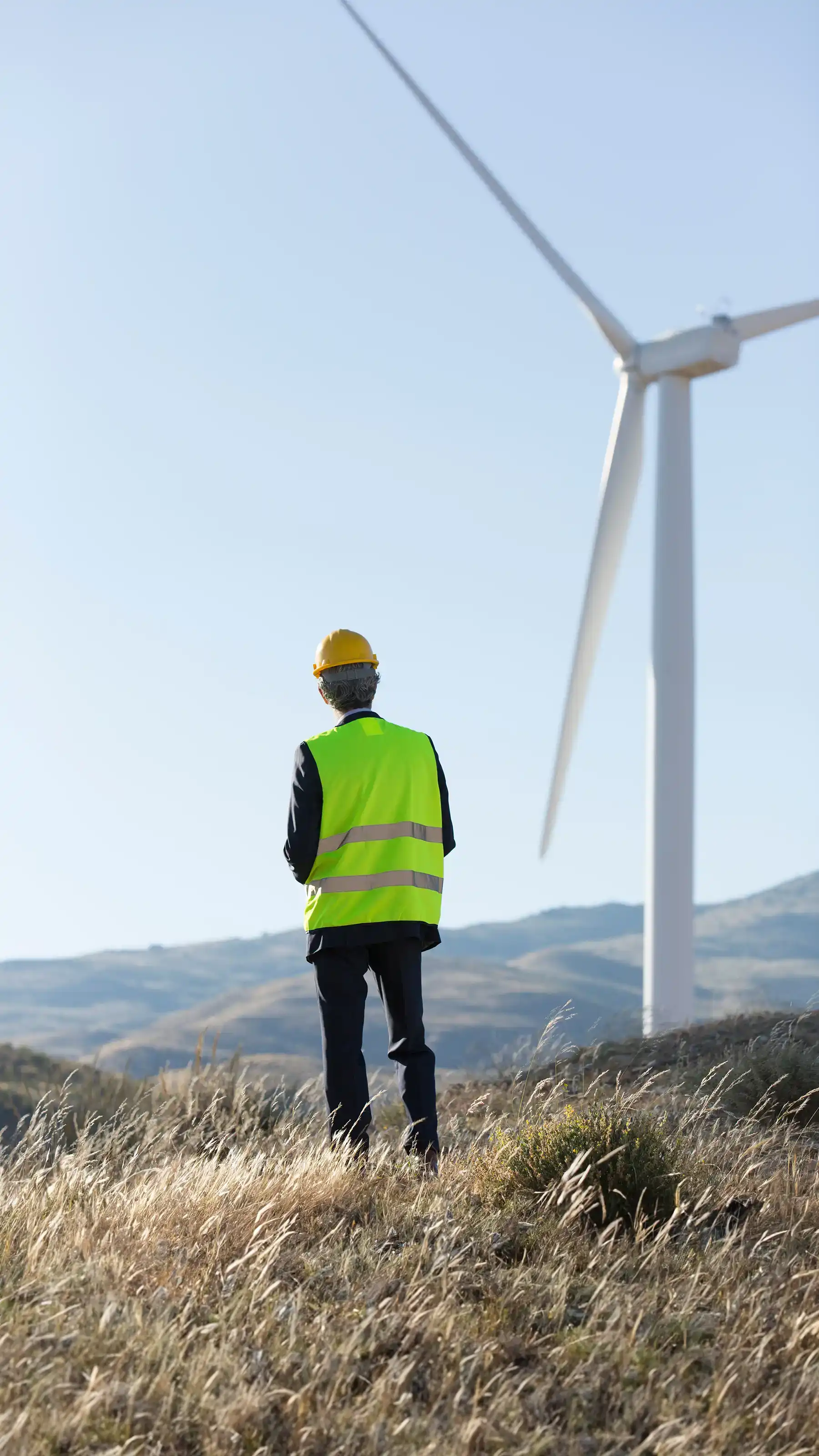 Site Supervision and Monitoring Services