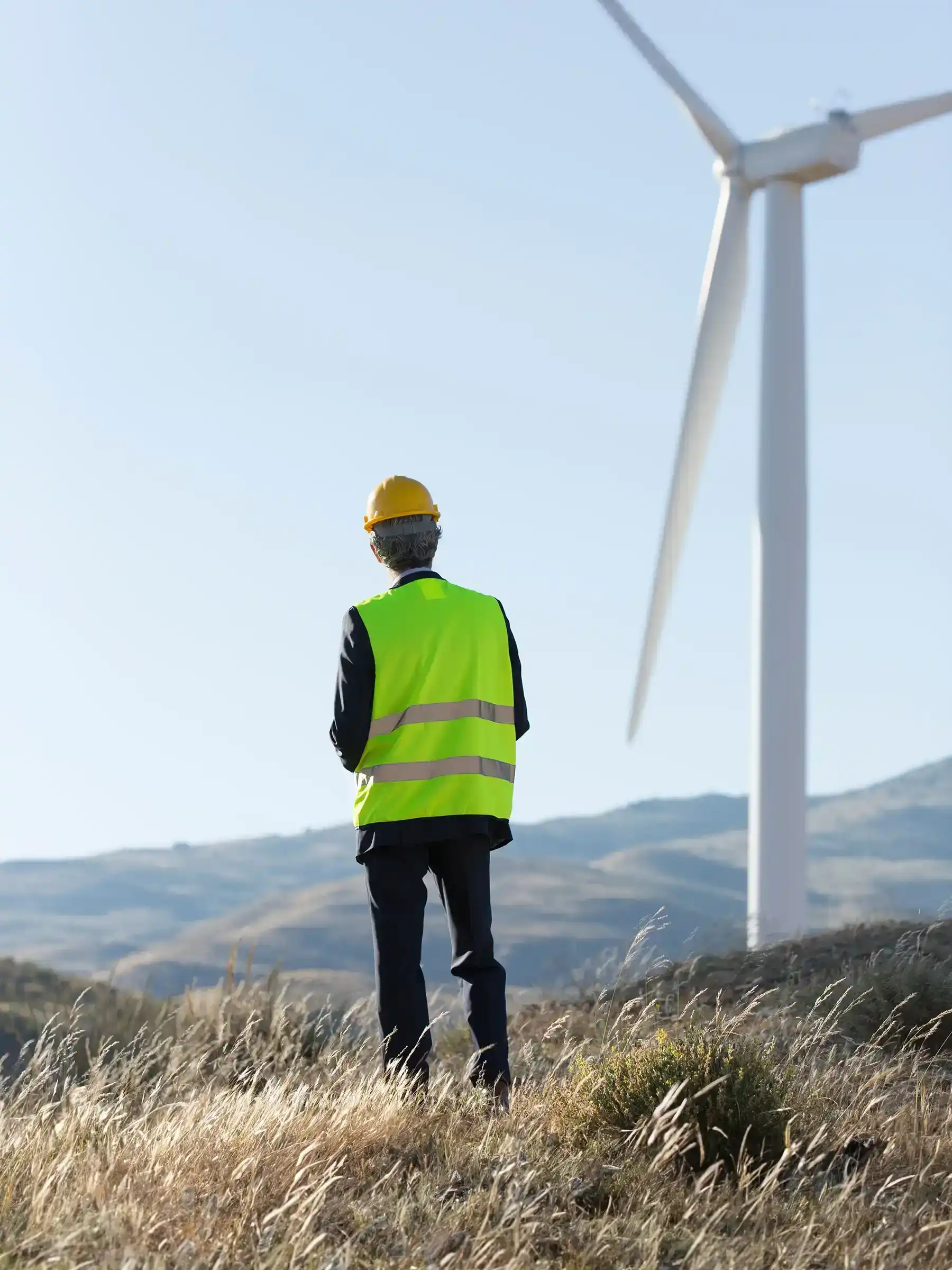 Site Supervision and Monitoring Services