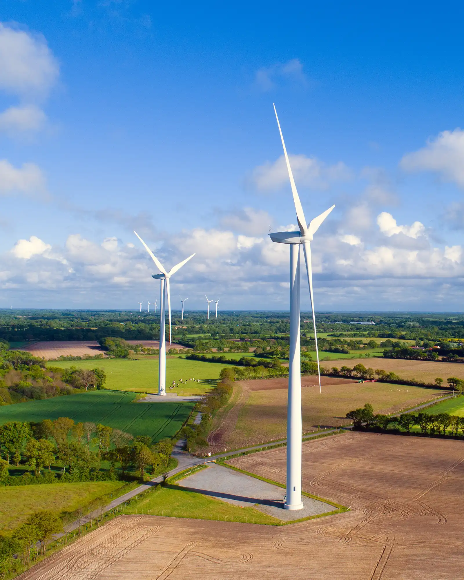 Construction & Energy Sectors